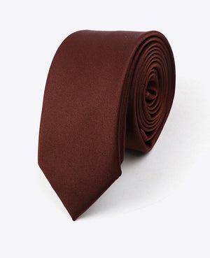 Stropdas Bruin Heren in Polyester | Anatole - Unipap's