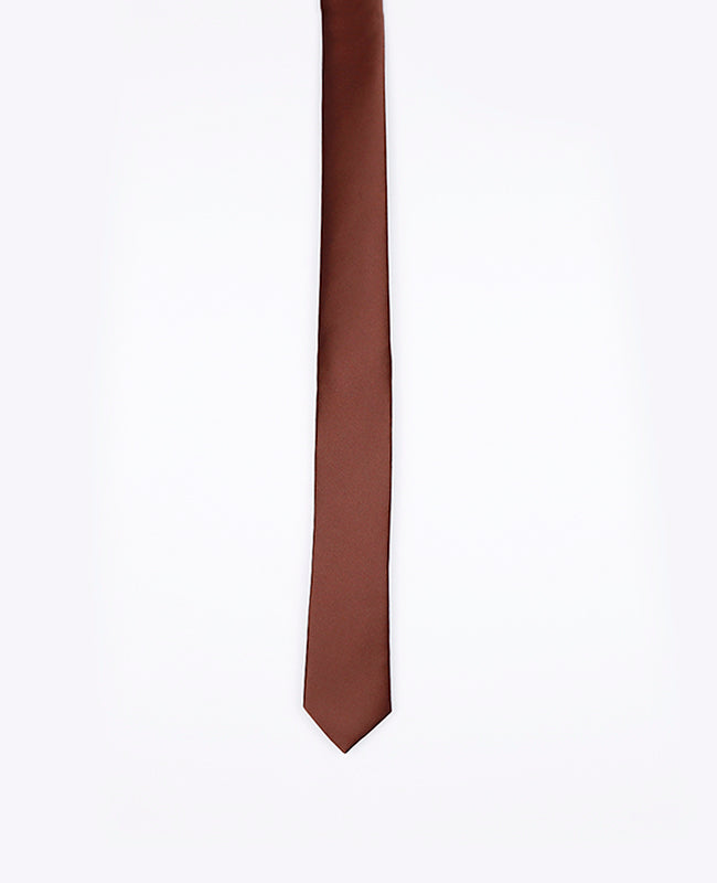 Stropdas Bruin Heren in Polyester | Anatole - Unipap's