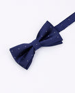Vlinderdas Blauw nr.1 Kinderen in Polyester | Georges - Unipap's
