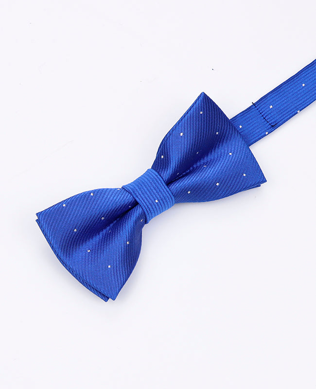 Vlinderdas Blauw nr.2 Kinderen in Polyester | Georges - Unipap's