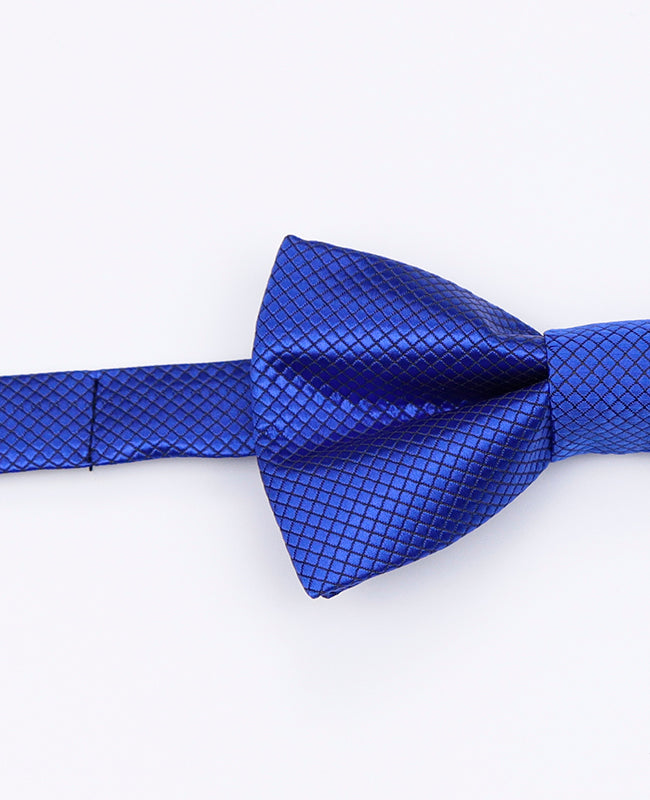Vlinderdas Blauw nr.2 Kinderen in Polyester | Martin - Unipap's