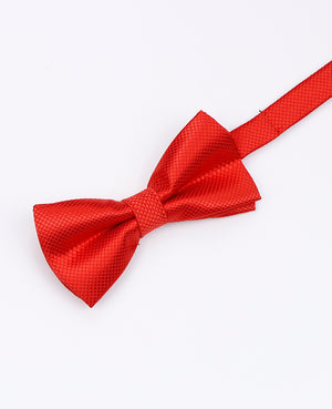 Vlinderdas Rood nr.2 Kinderen in Polyester | Martin - Unipap's