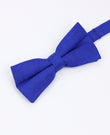 Vlinderdas Blauw nr.4 Heren in Linnen | Basile - Unipap's