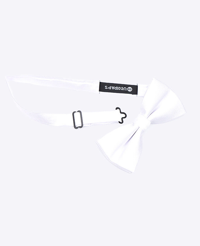 Vlinderdas Wit Heren in Polyester | Lucien - Unipap's