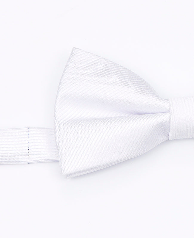 Vlinderdas Wit Heren in Polyester | Lucien - Unipap's
