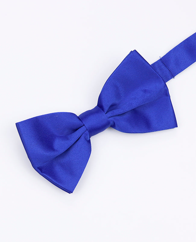 Vlinderdas Blauw nr.2 Heren in Polyester | Anatole - Unipap's