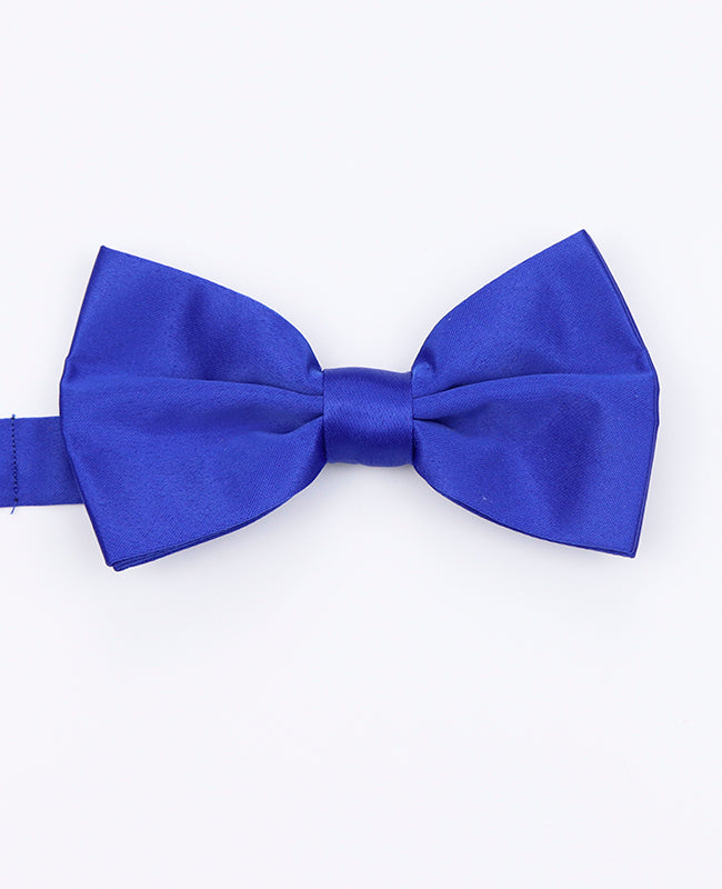 Vlinderdas Blauw nr.2 Heren in Polyester | Anatole - Unipap's