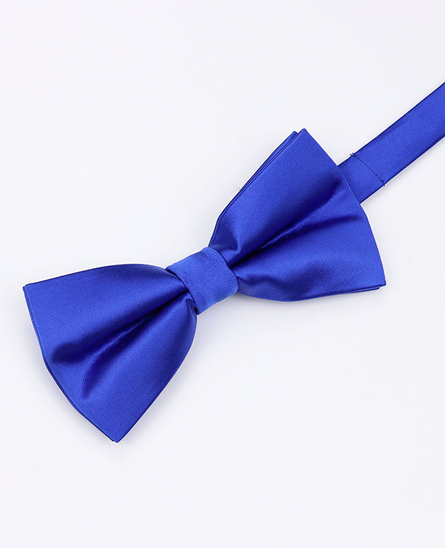 Vlinderdas Blauw nr.2 Heren in Polyester | Jules - Unipap's