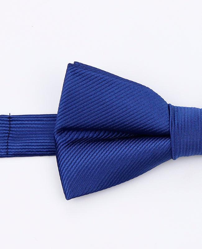 Vlinderdas Blauw nr.2 Heren in Polyester | Lucien - Unipap's
