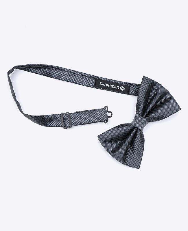 Vlinderdas Grijs nr.2 Heren in Polyester