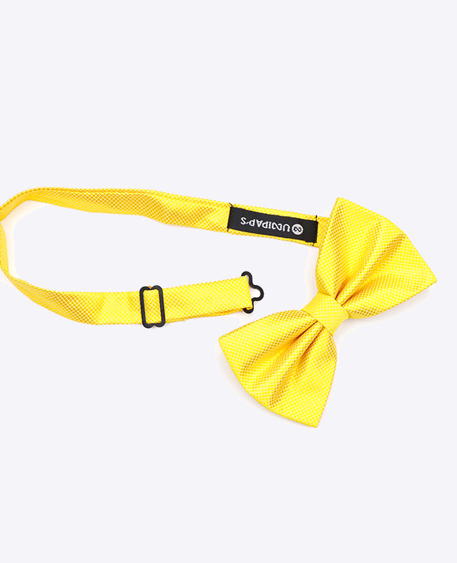 Vlinderdas Geel Heren in Polyester | Martin - Unipap's