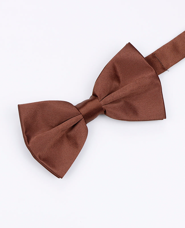 Vlinderdas Bruin Heren in Polyester | Anatole - Unipap's