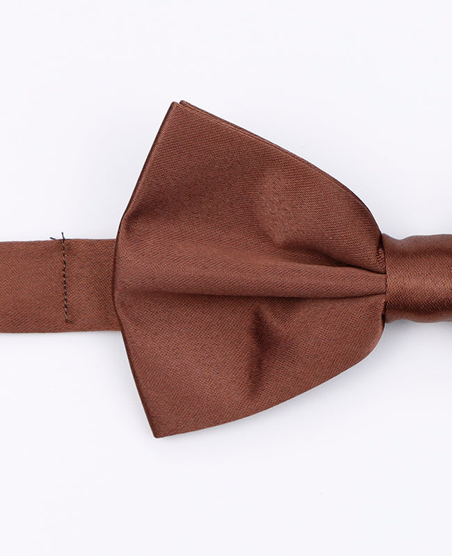 Vlinderdas Bruin Heren in Polyester | Anatole - Unipap's
