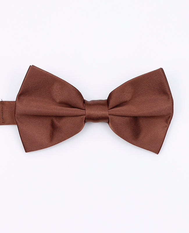 Vlinderdas Bruin Heren in Polyester | Anatole - Unipap's