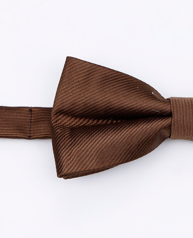 Vlinderdas Bruin Heren in Polyester | Lucien - Unipap's