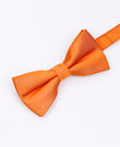 Vlinderdas Oranje Heren in Polyester | Lucien - Unipap's