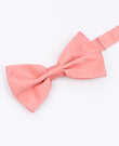 Vlinderdas Roze nr.3 Heren in Polyester | Anatole - Unipap's