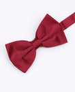 Vlinderdas Rood nr.1 Heren in Polyester | Anatole - Unipap's