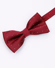 Vlinderdas Rood nr.1 Met Stippen Heren in Polyester | Georges - Unipap's
