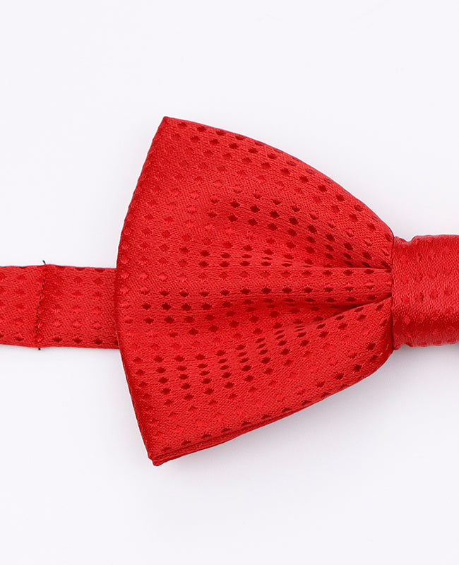 Vlinderdas Rood nr.1 Met Stippen Heren in Polyester | Louis - Unipap's