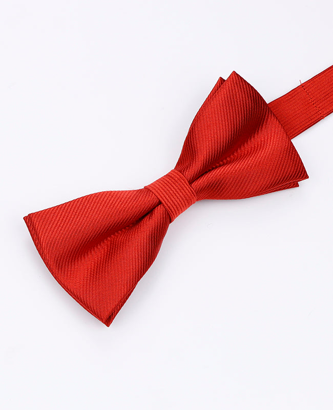 Vlinderdas Rood nr.2 Heren in Polyester | Lucien - Unipap's