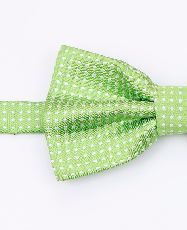 Vlinderdas Groen nr.1 Met Stippen Heren in Polyester | Louis - Unipap's