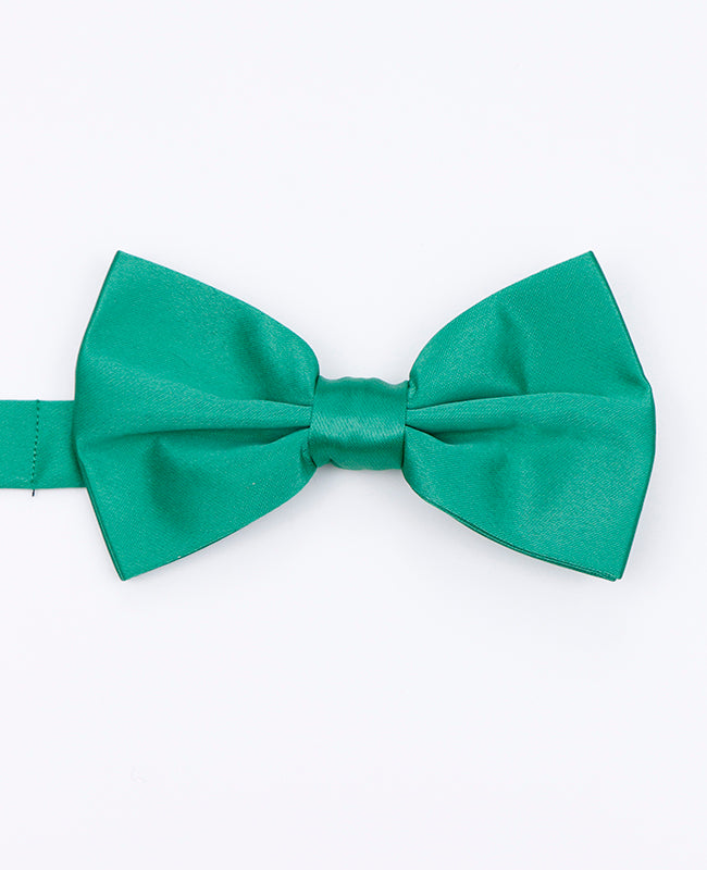 Vlinderdas Groen nr.3 Heren in Polyester | Anatole - Unipap's