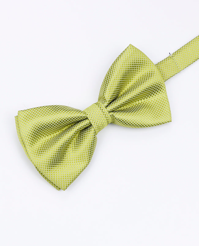 Vlinderdas Groen nr.3 Heren in Polyester | Martin - Unipap's