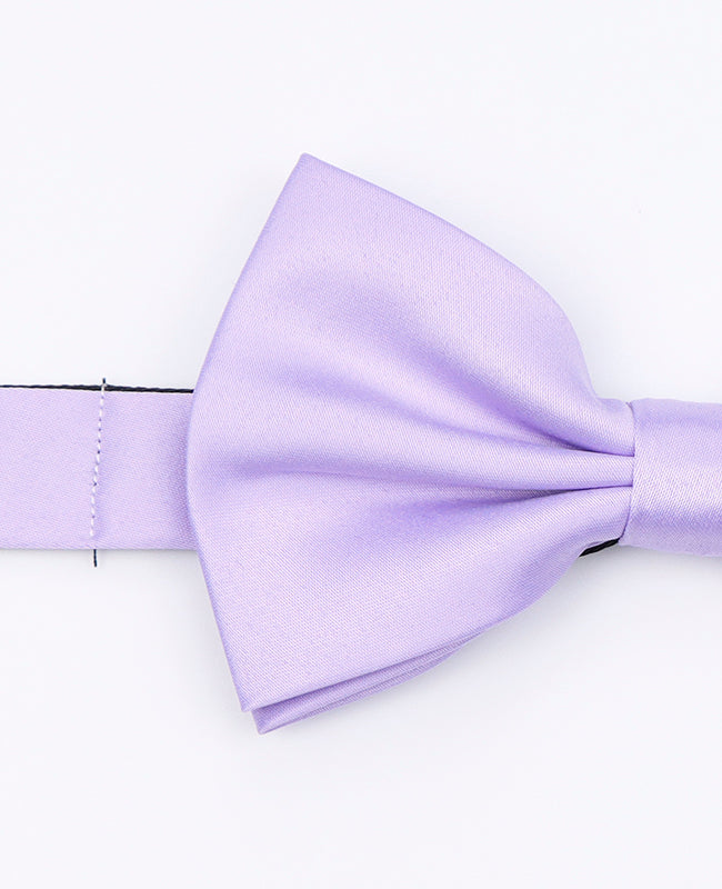 Vlinderdas Paars nr.2 Heren in Polyester "Anatole"