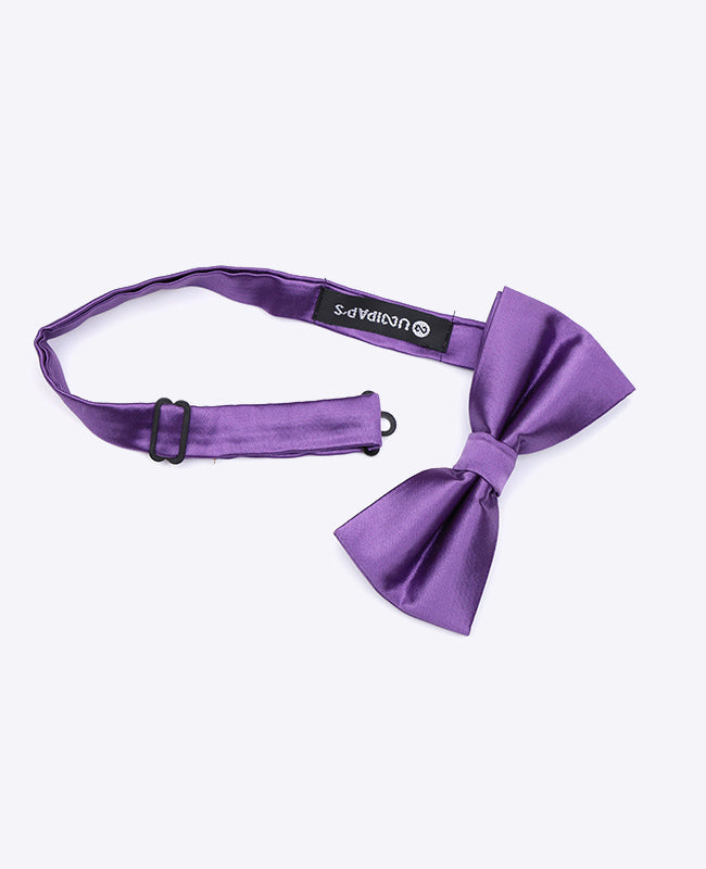 Vlinderdas Paars nr.2 Heren in Polyester | Jules - Unipap's