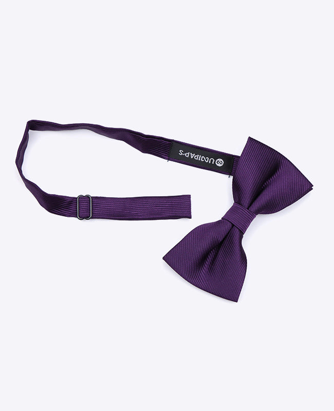 Vlinderdas Paars nr.2 Heren in Polyester | Lucien - Unipap's