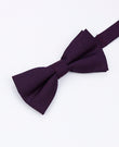 Vlinderdas Paars nr.2 Heren in Polyester | Octave - Unipap's