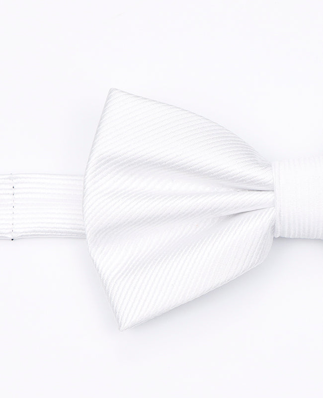 Vlinderdas XL Wit Heren in Polyester | Lucien - Unipap's