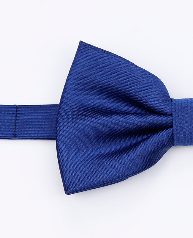 Vlinderdas XL Blauw nr.2 Heren in Polyester | Lucien - Unipap's