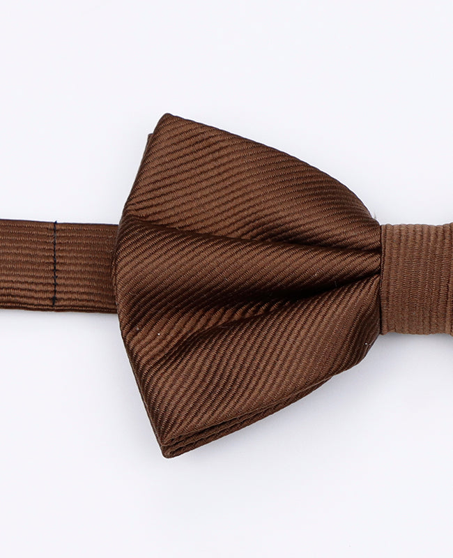 Vlinderdas XL Bruin Heren in Polyester | Lucien - Unipap's