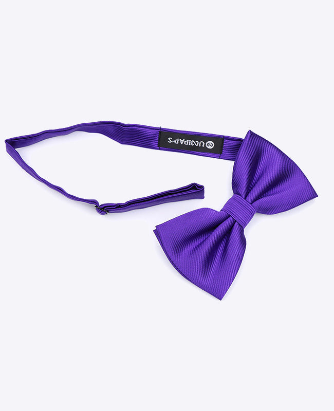 Vlinderdas XL Paars nr.1 Heren in Polyester | Lucien - Unipap's