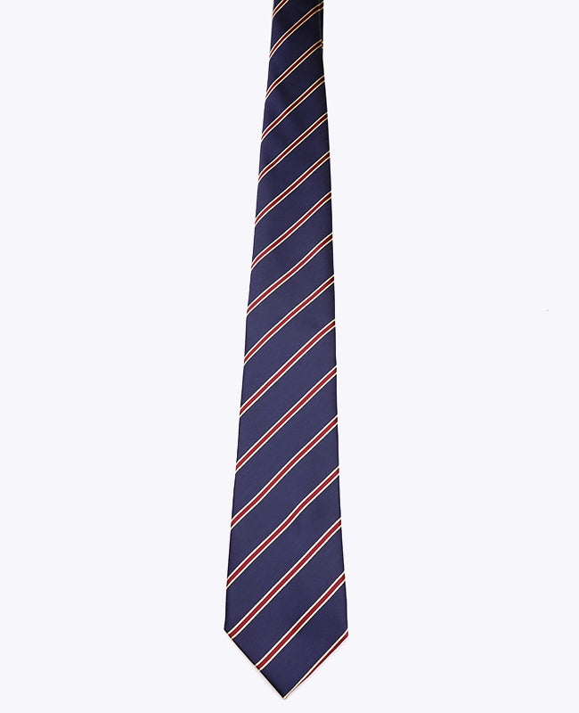 Stropdas Blauw Gestreept Heren in Polyester "Edmond"