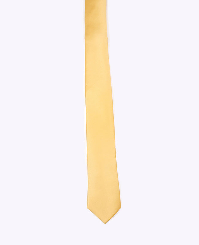 Stropdas Geel nr.1 Heren in Polyester "Anatole"