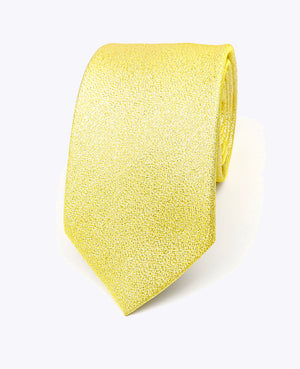 Stropdas met Gouden Pailletten nr.1 Heren in Polyester | Isidore - Unipap's