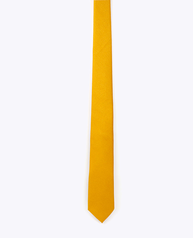 Stropdas met Gouden Pailletten nr.3 Heren in Polyester | Armand - Unipap's