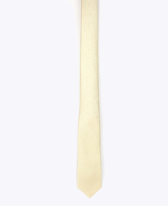 Stropdas met Gouden Pailletten nr.3 Heren in Polyester | Isidore - Unipap's