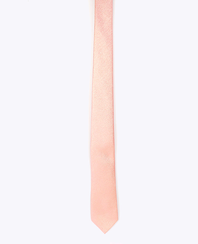 Stropdas met Roze Pailletten nr.2 Heren in Polyester | Isidore - Unipap's