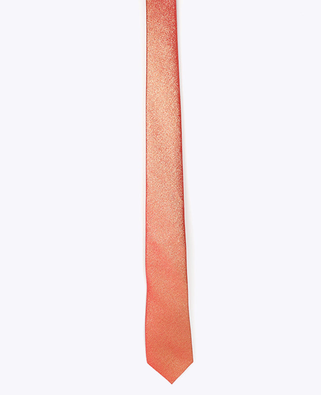 Stropdas met Rode Pailletten nr.2 Heren in Polyester | Isidore - Unipap's