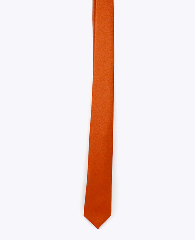 Stropdas met Pailletten Terracotta nr.1 Heren in Polyester | Armand - Unipap's