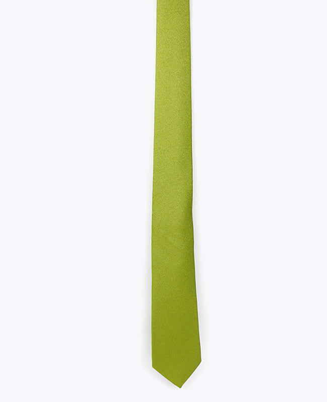 Stropdas met Pailletten Groen nr.1 Heren in Polyester | Armand - Unipap's