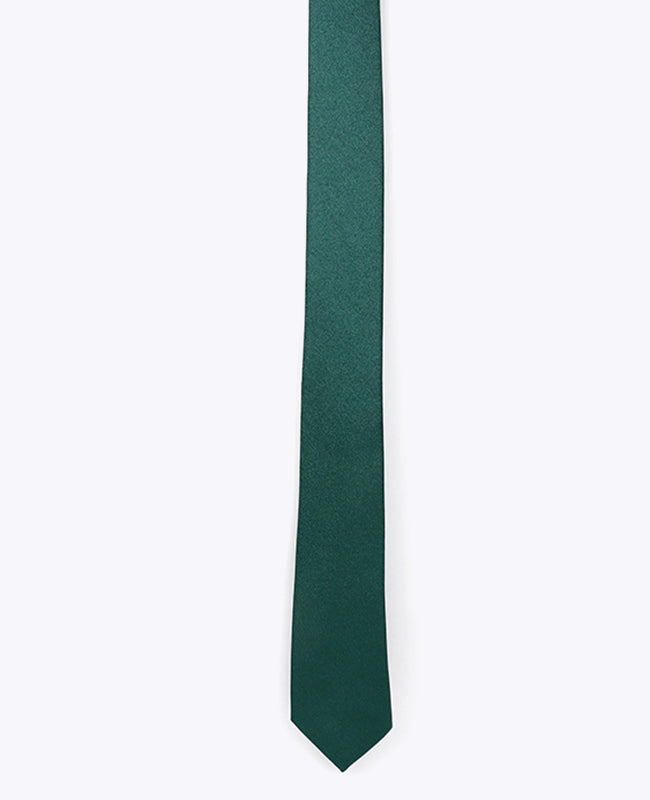 Stropdas met Pailletten Groen nr.2 Heren in Polyester | Armand - Unipap's