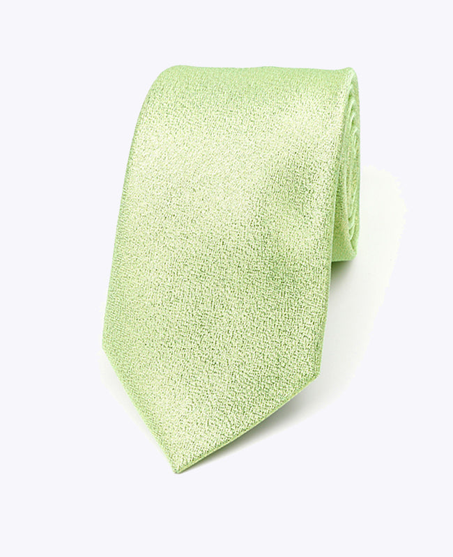 Stropdas met Pailletten Groen nr.2 Heren in Polyester | Isidore - Unipap's