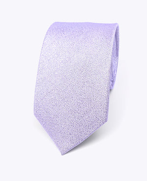 Stropdas met Paarse Pailletten nr.1 Heren in Polyester | Isidore - Unipap's