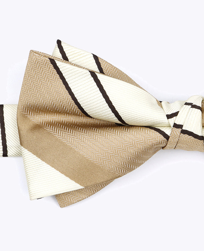 Vlinderdas Beige nr.1 Gestreept Heren in Polyester "Edmond"