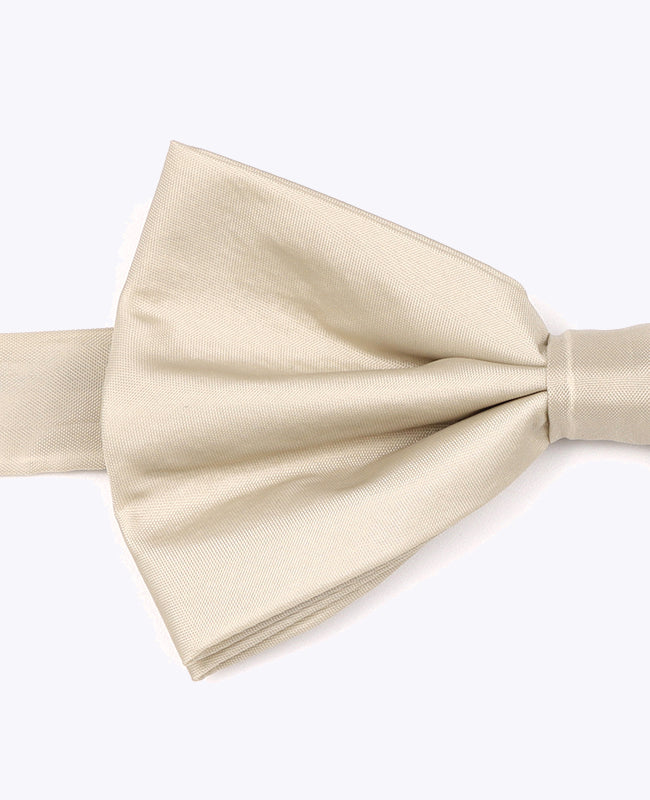 Vlinderdas Beige Heren in Gerecycled Polyester "Marin"